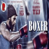 Boxer songs download