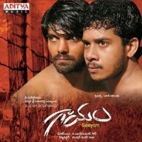 Gaayam Movie Poster