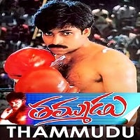 Thammudu poster
