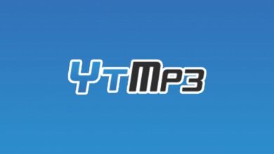 Free TikTok and YouTube Video Downloader ytmp3